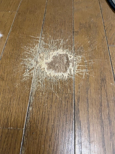 リフォーム前の床。犬にほじられて大きな溝ができている